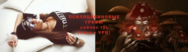 дурь Белокуриха