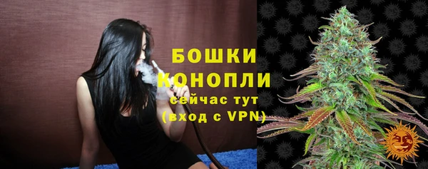 дурь Белокуриха