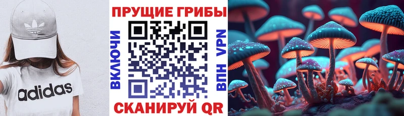 kraken tor  Нестеровская  Галлюциногенные грибы Psilocybe  дарнет шоп 
